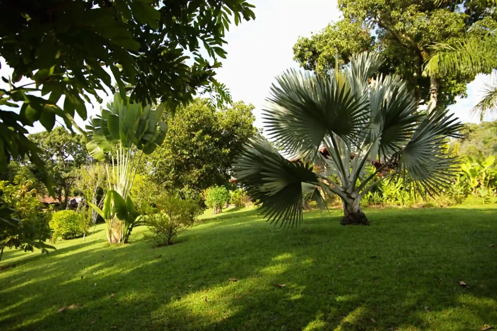 Jardín exterior de la finca La Esperanza rodeado de naturaleza y zonas verdes