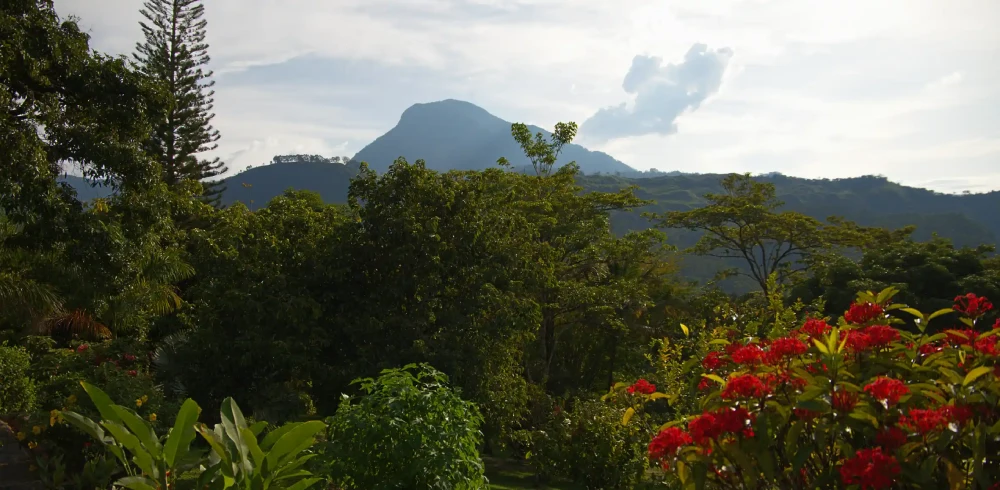 Vista de Cerro Bravo desde la finca La Esperanza en Fredonia cerca de Medellín