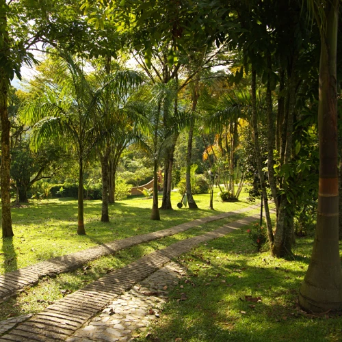 Hermosos paisajes para caminar cerca de la finca La Esperanza en Fredonia Antioquia