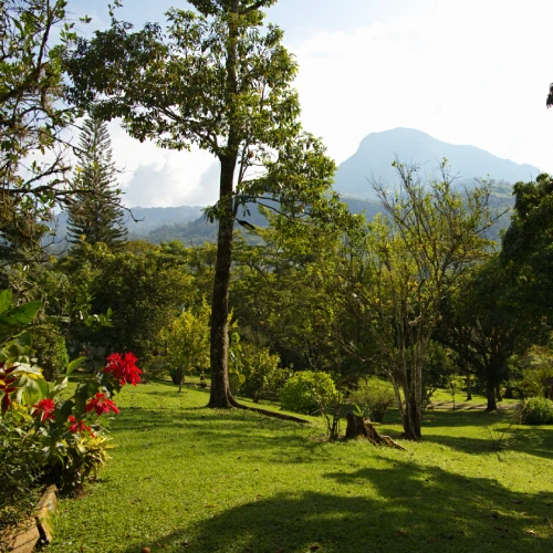 Vista de Cerro Bravo desde la finca La Esperanza en Fredonia suroeste antioqueño