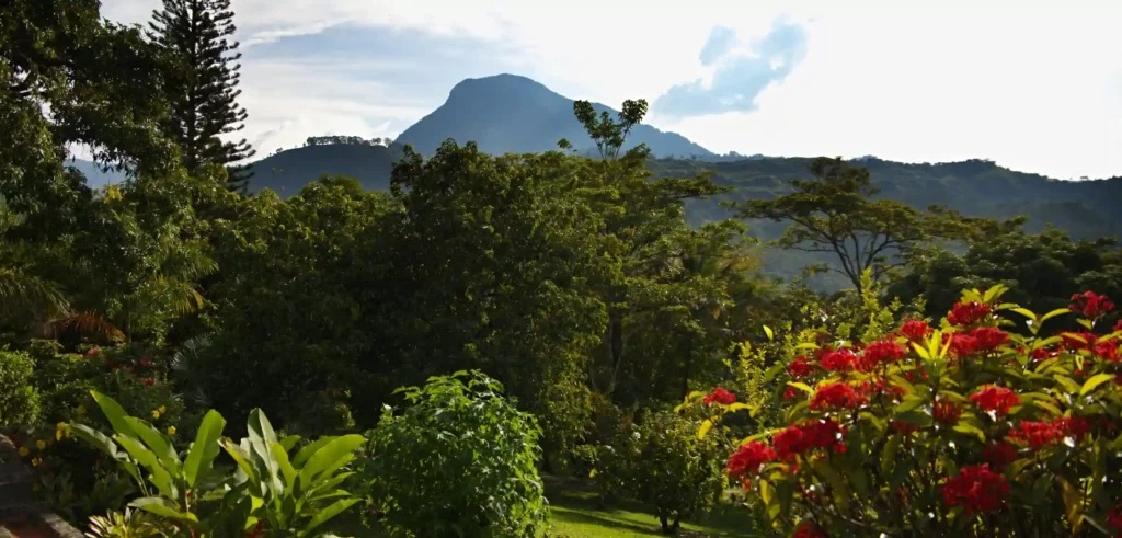 Hermosas montañas de Fredonia vistas desde la finca La Esperanza, ubicada muy cerca a Medellín, entre Amagá y Fredonia