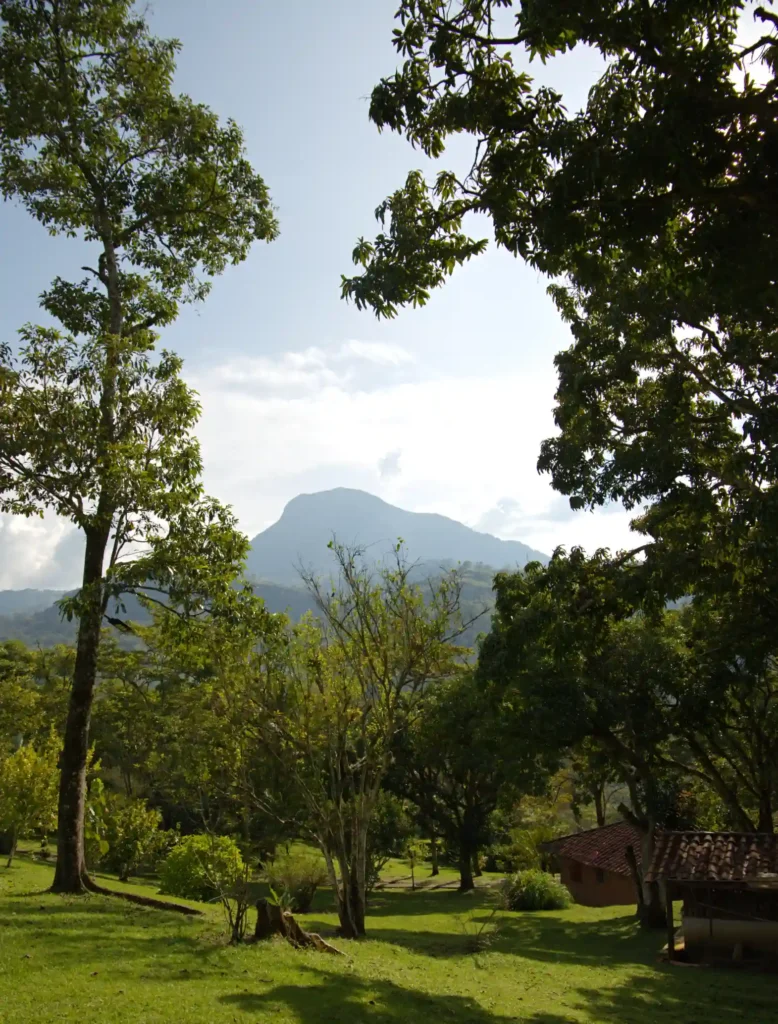 Cerro Bravo en Fredonia rodeado de árboles del suroeste antioqueño