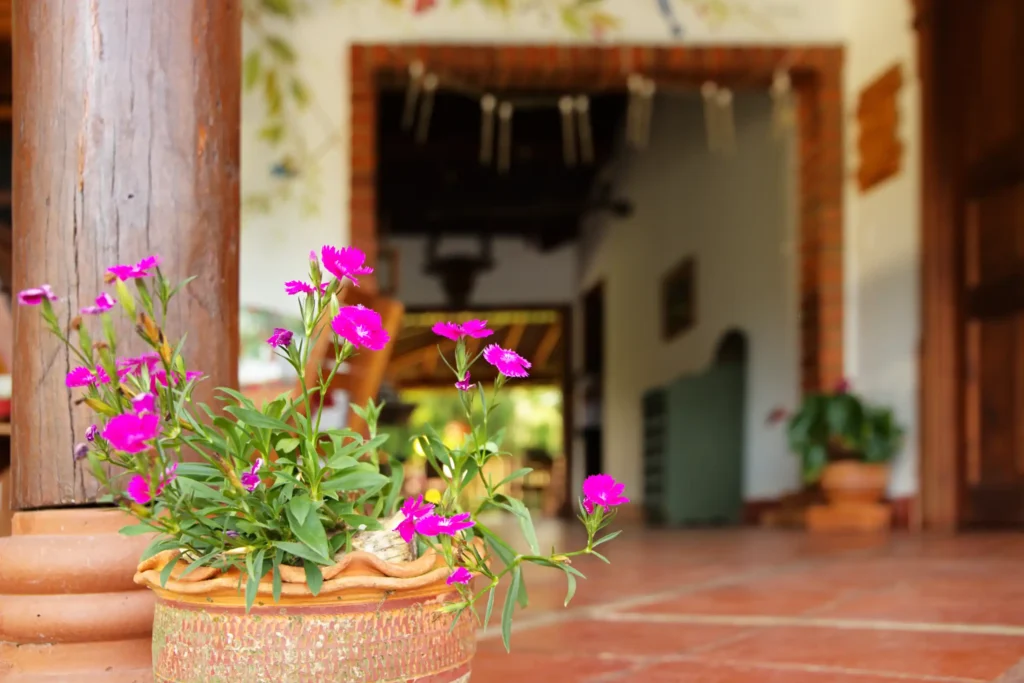 Matera con flores en la entrada de la casa tradicional de la finca La Esperanza con puertas y ventanas de madera