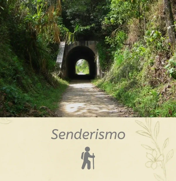 Ruta de senderismo en Amagá: túneles del tren y Salto del Ángel